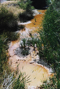 Leachate with a high iron content in a polluted stream