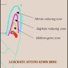 leachate-attenuatio-zone-diagram