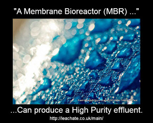 membrane bioreactor