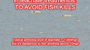 leachate-fish-kill